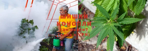 СК Бугульма