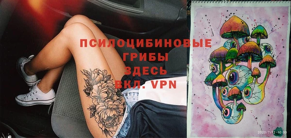 хмурый Богородицк